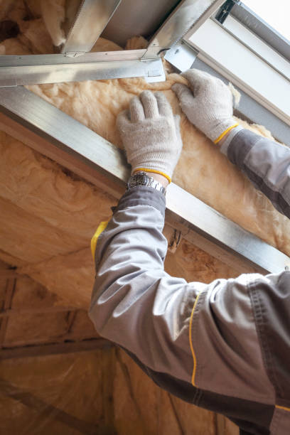 Best Garage Insulation  in Goodrich, MI