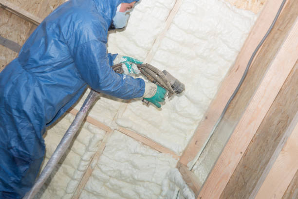 Best Attic Insulation Installation  in Goodrich, MI